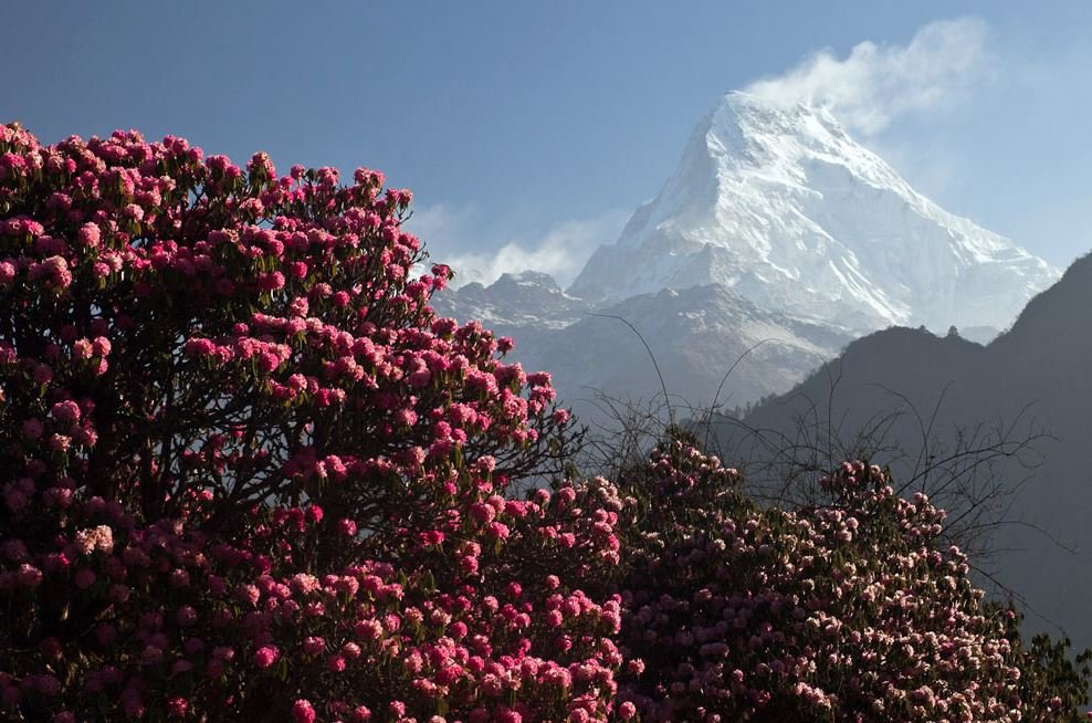 annapurna circuit trek package (image: switchbacktravel)